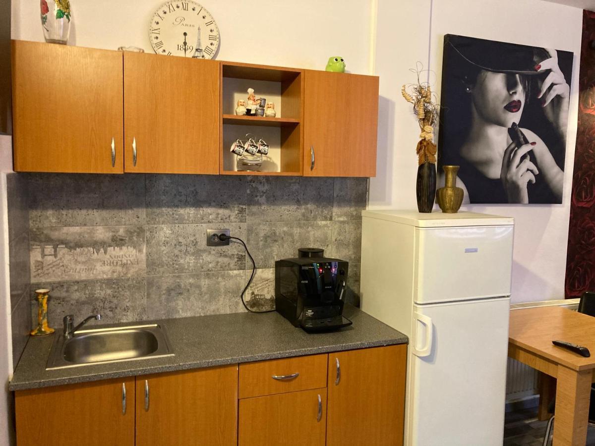Edit House Apartment Târgu-Mureş Екстериор снимка